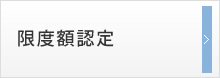 限度額認定